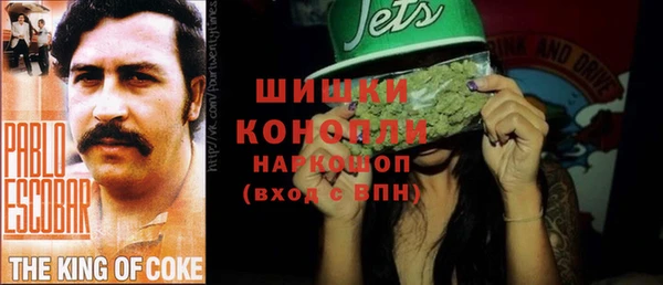 стаф Козельск