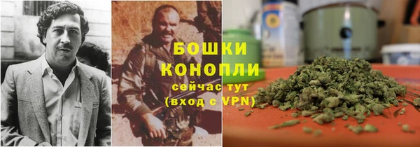 мдпв Кодинск