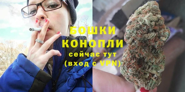 стаф Козельск