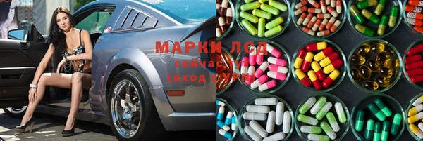 стаф Козельск