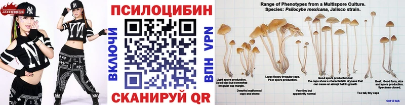 Псилоцибиновые грибы MAGIC MUSHROOMS Купить где Кизел